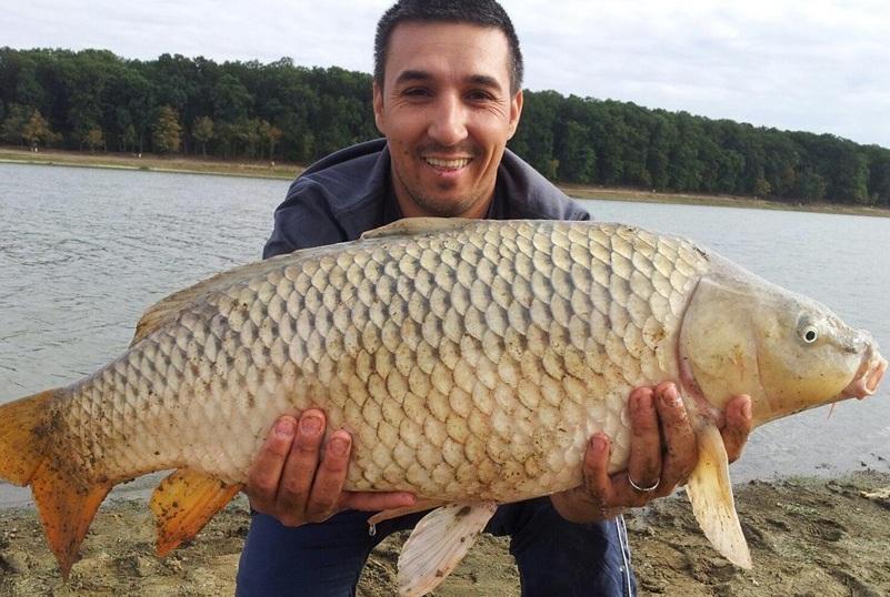 Ghidul crapistului incepator